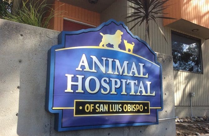 Veterinarian in San Luis Obispo, CA - Emergency Vet Care