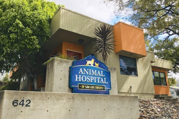 Welcome to Animal Hospital of San Luis Obispo!